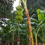 Casa Assuntina Appartamento